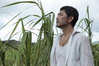 4STILL THE WATER Co 2014 FUTATSUME NO MADO Japanese Film Partners, Comme des C - Kopie